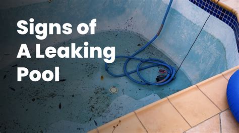 leaking pool light|Discover the Surprising Signs of a Leaking Pool Light and